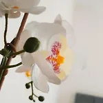 Happy アパート ポルティマン