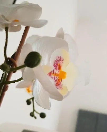 Happy Apartamento Portimão